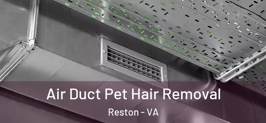 Air Duct Pet Hair Removal Reston - VA