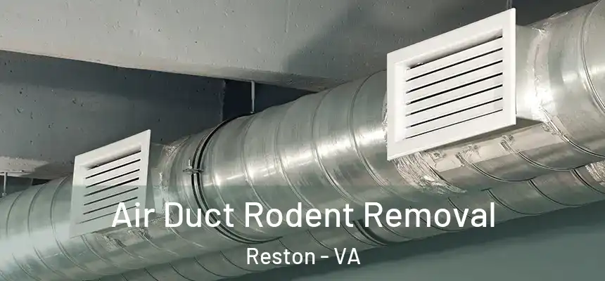 Air Duct Rodent Removal Reston - VA