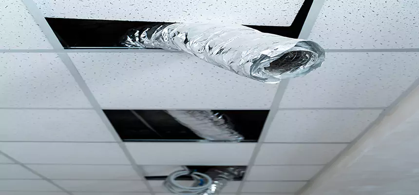 Our Air Duct Pet Hair Removal Services in Reston, VA