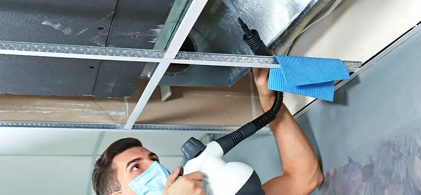 Our Air Duct Rodent Removal Services in Reston, VA