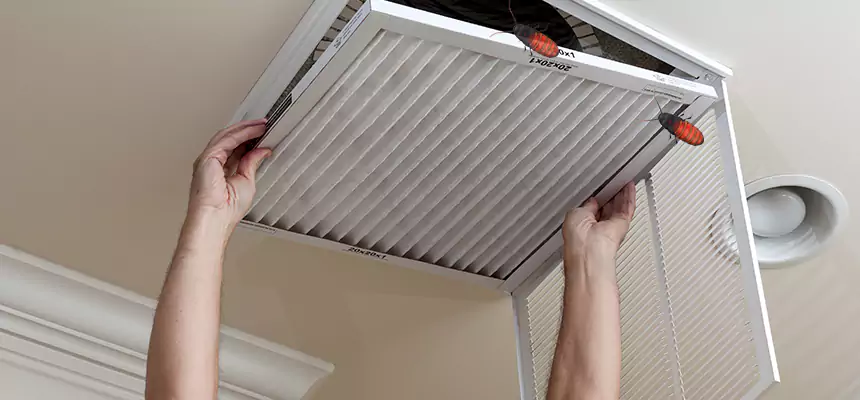Our Insect Removal from Air Ducts Services in Reston, VA