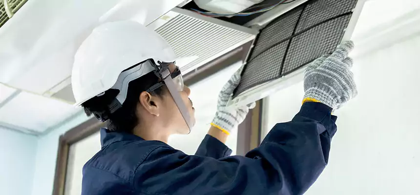 Our Mold & Mildew Removal from Air Ducts Services in Reston, VA