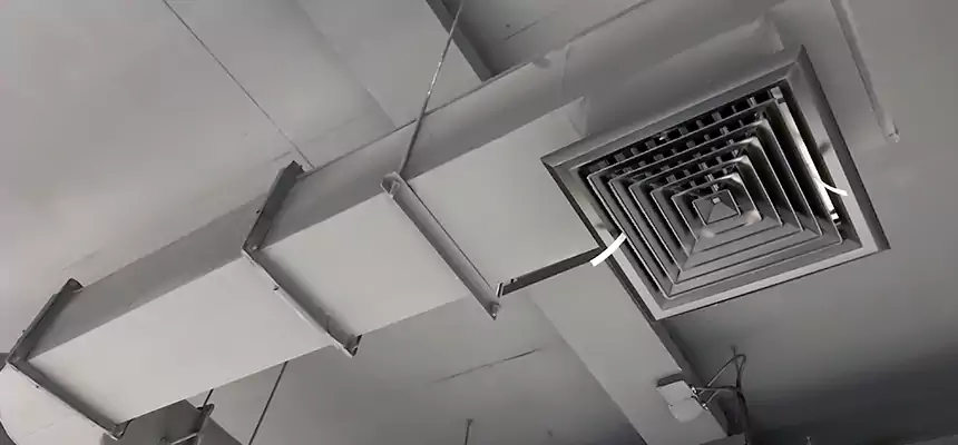 Our Pest Removal From Ducts Services in Reston, VA