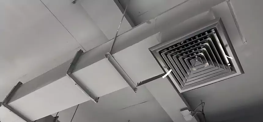 Our Rodent Droppings In Vents Services in Reston, VA