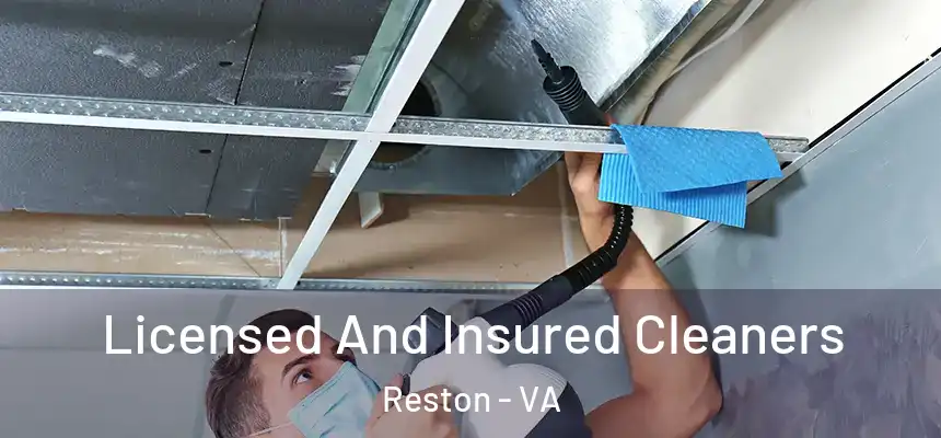 Licensed And Insured Cleaners Reston - VA