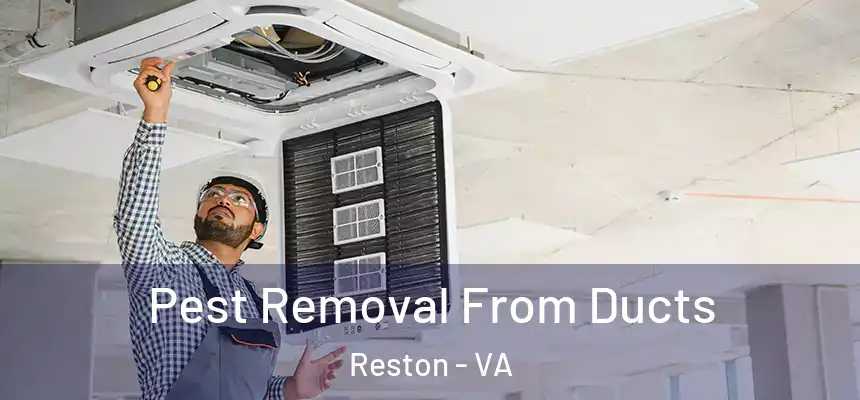  Pest Removal From Ducts Reston - VA