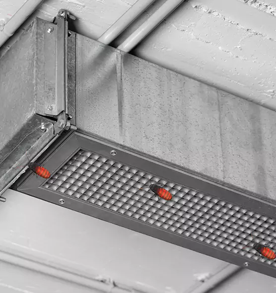 About Air Duct Cockroach Removal in Reston, VA