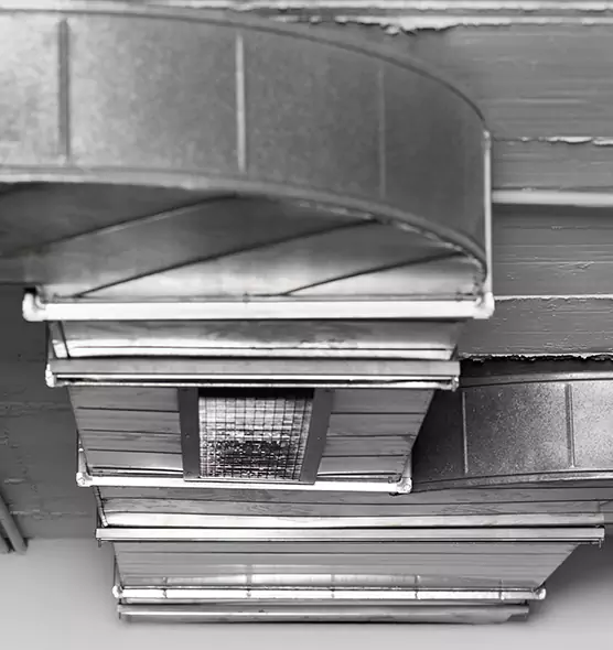 Professional Air Duct Pet Hair Removal in Reston, VA