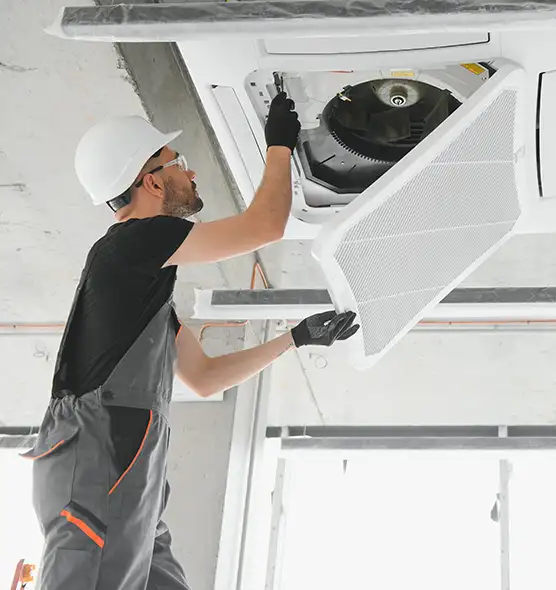 About Air Duct Rodent Removal in Reston, VA