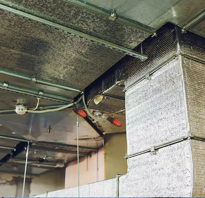 Why Homeowners & Businesses Trust Us in Reston, VA?